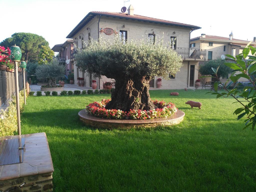 Domus Angeli Hotel Assisi Exterior foto